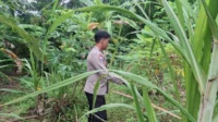 IMG-20251025-WA0086