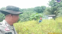 IMG-20251026-WA0052