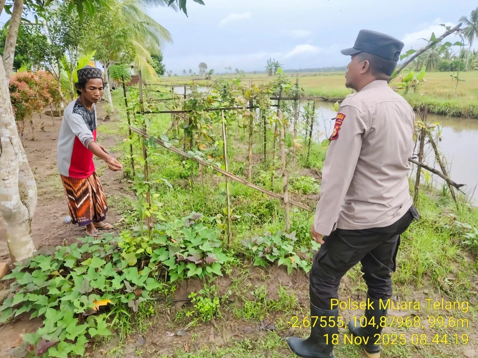 IMG-20251118-WA0115